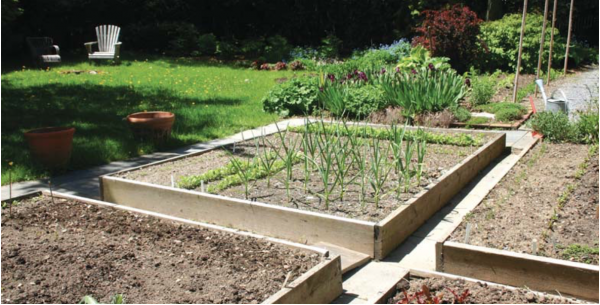 λαχανόκηπος υπερηψωμένα παρτέρια οδηγίες βιβλίο φυτεύω λαχανικά κήπος μπαλκόνι